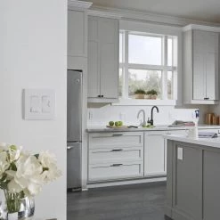 Radiant 450-Watt Single Pole/3-Way LED/CFL/Incandescent Dimmer, White/Light Almond/Ivory by Legrand 20 Radiant 450-Watt Single Pole/3-Way LED/CFL/Incandescent Dimmer, White/Light Almond/Ivory by Legrand -Legrand Sales white light almond ivory legrand dimmers rhcl453ptcccv6 66 1000